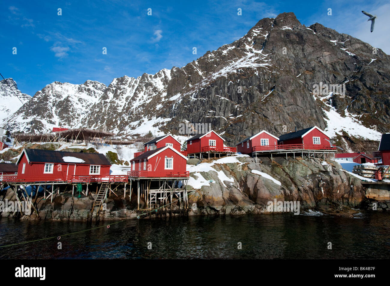 Traditional red wooden Rorbu fishermen`s huts in village of Å on Moskenesoya Island in Lofoten Islands in Norway Stock Photo
